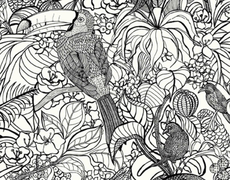 Pierre Frey Costa Rica Behang &nbsp;Les Dessins 2&nbsp;&nbsp;FP440001