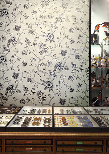 Pierre Frey Jardin De Paradis Behang Les Dessins&nbsp;FP327001