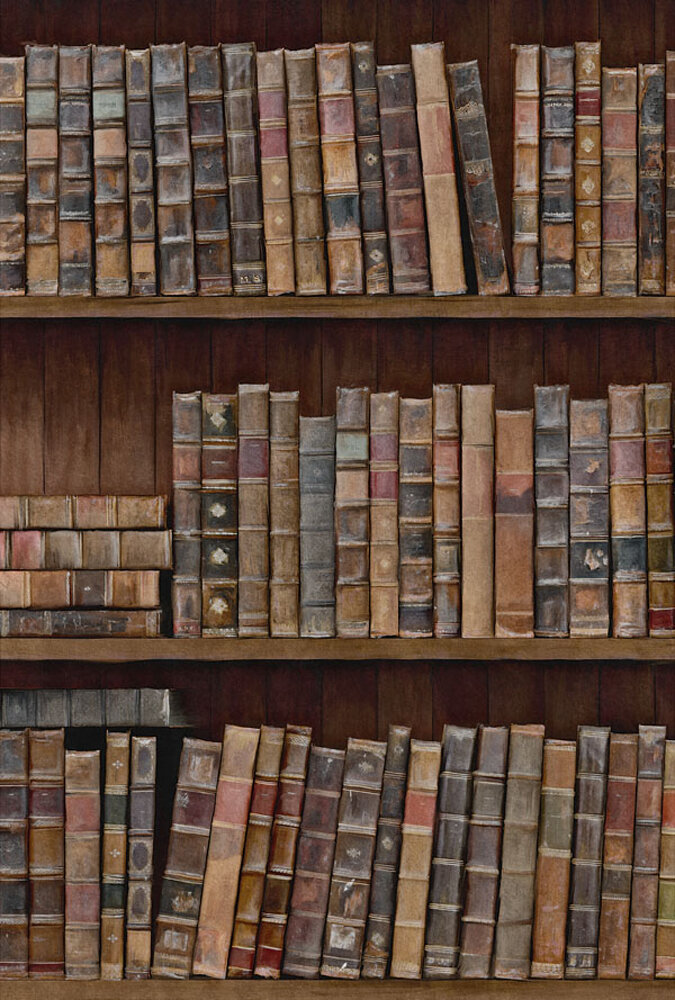 Rol C Mind the Gap Book shelves behang 
