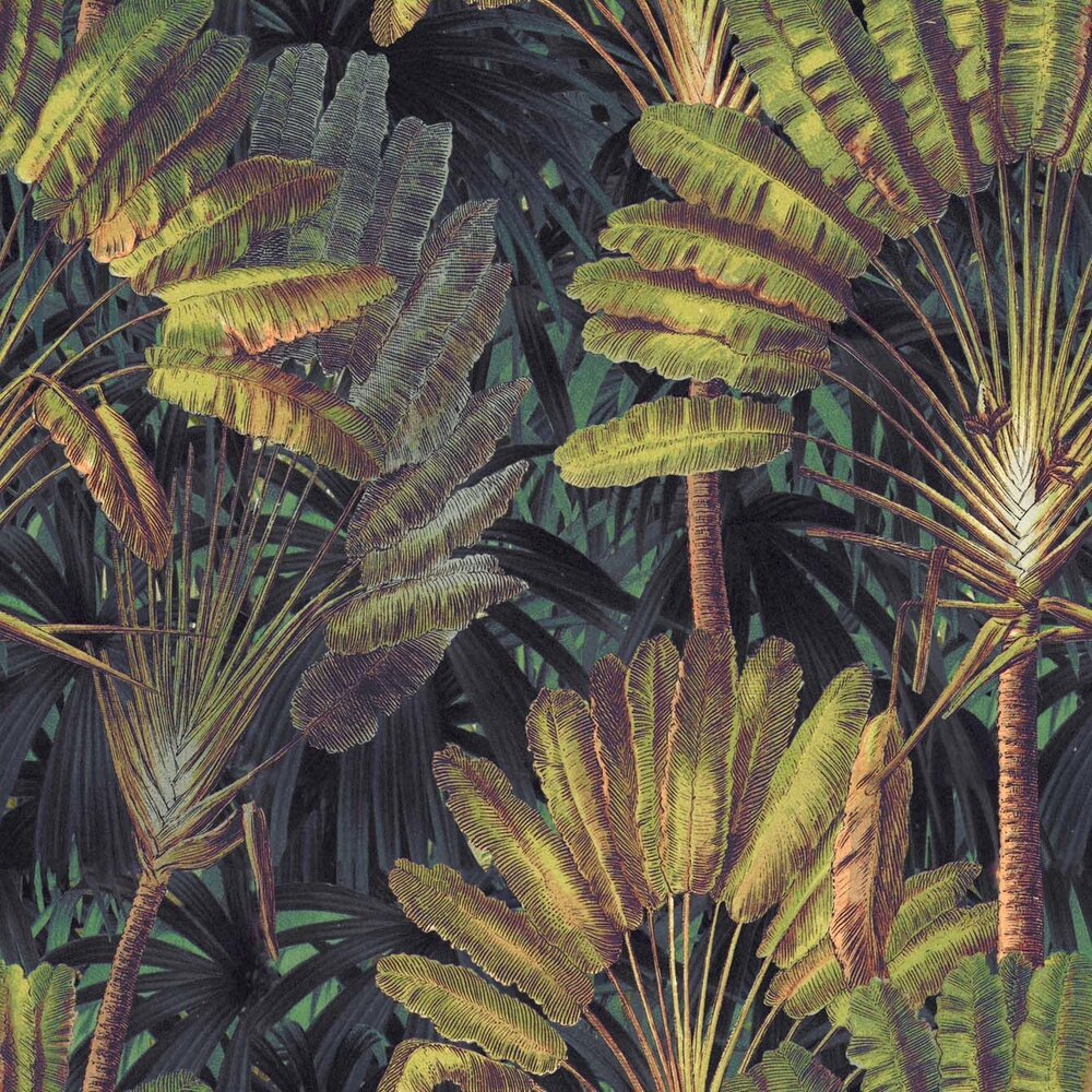  Mind the Gap Traveller&#039;s Palm Sunset behang