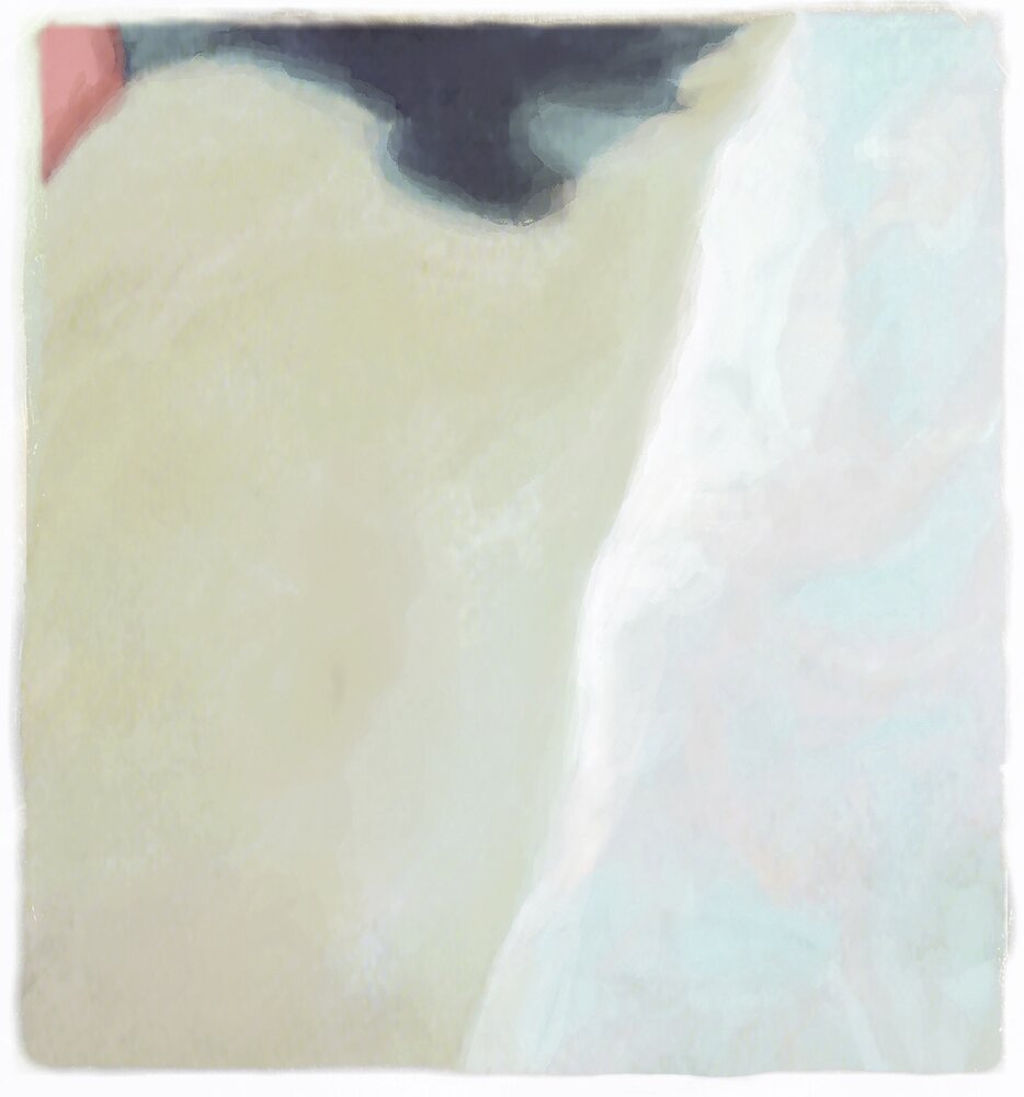 ELITIS Big Sur Behang Paneel TP_316_01 Initation collectie