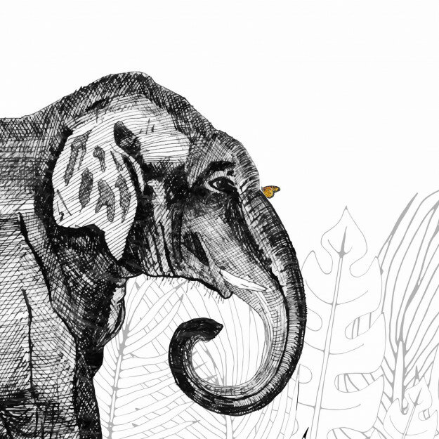 Les Dominotiers Metrozoo behang DOM 147 totaal behangpapier
