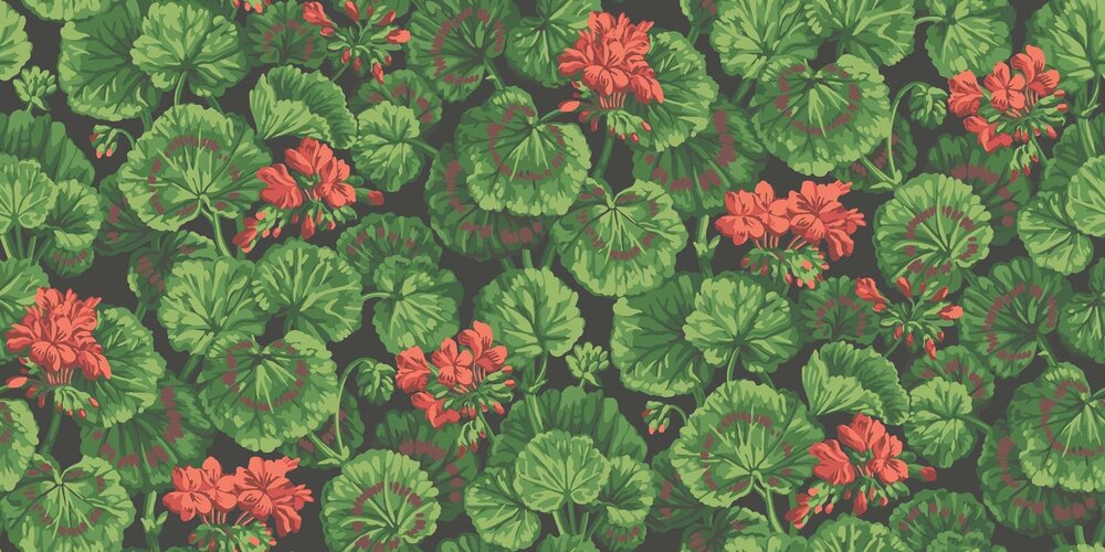 Cole and Son Geranium Behang