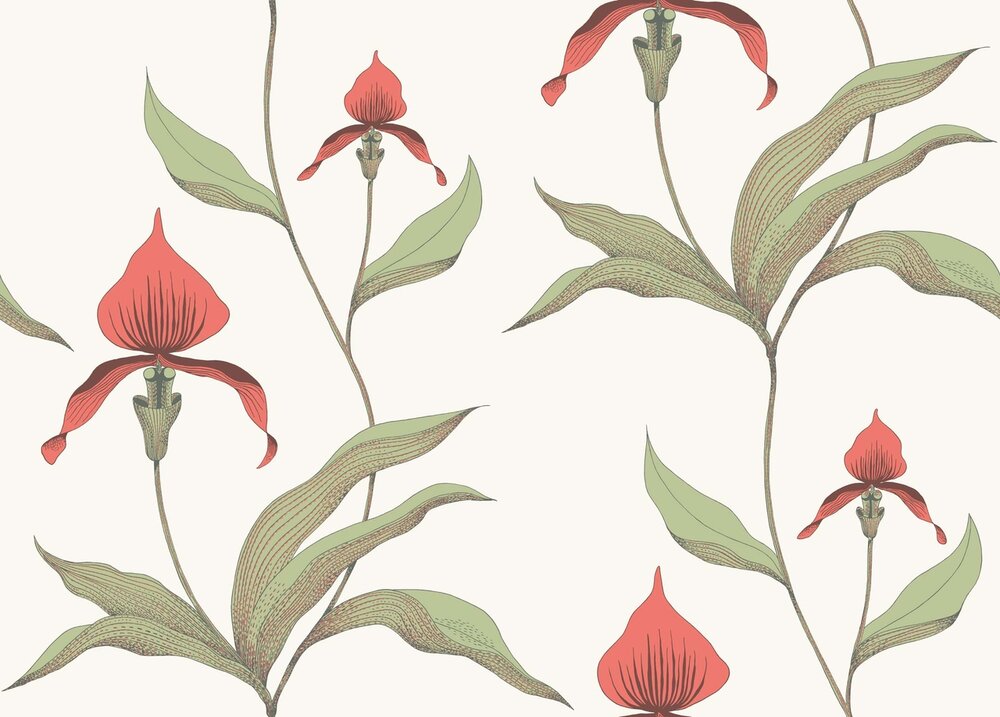 cole and son orchid behang 95-10054 never have i ever netflix tv 3