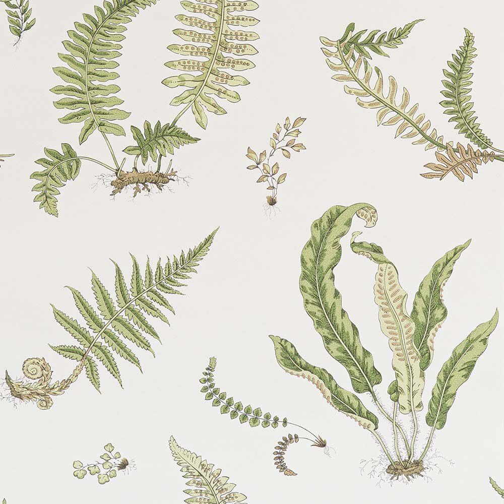 GP &amp; J Baker Ferns Behang Signature Wallpapers 2 BW45044-10