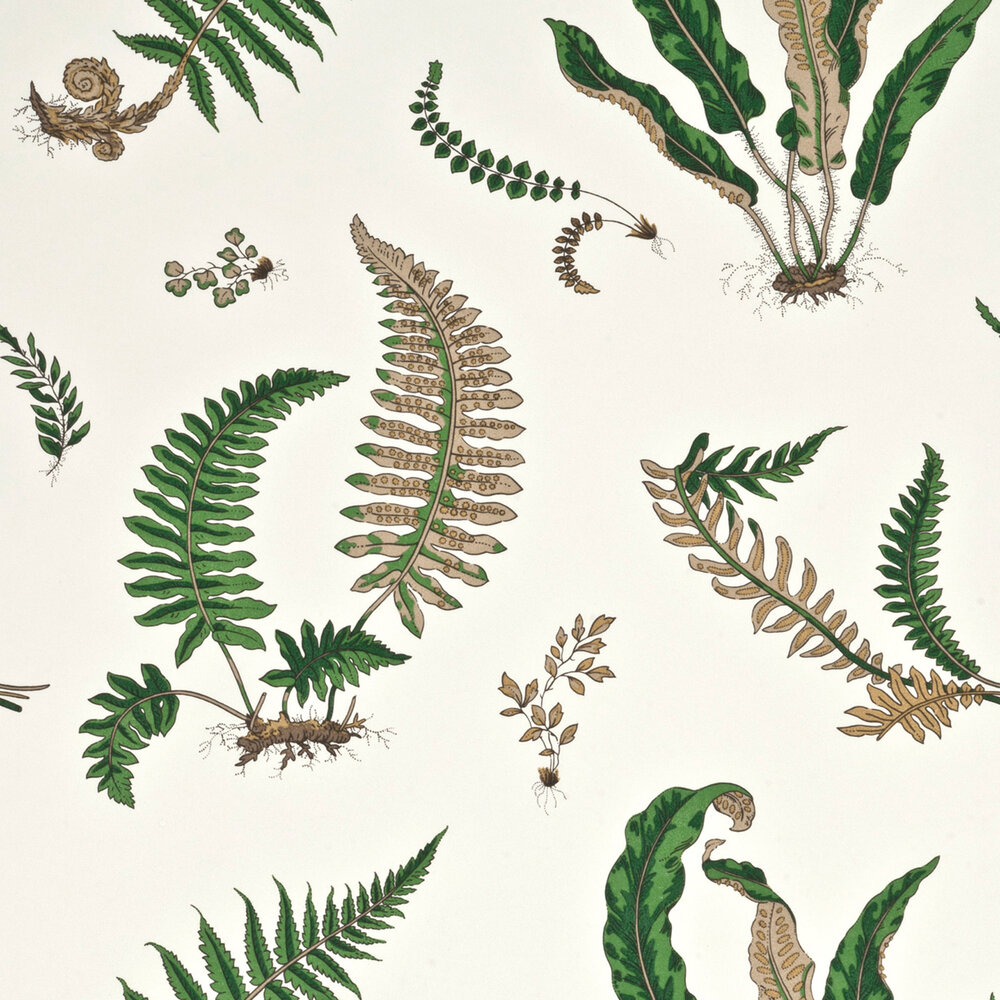 GP &amp; J Baker Ferns Behang Signature Wallpapers BW45044/1