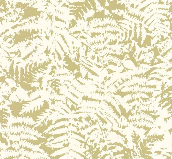 Fern