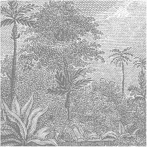 Les Dominotiers Palmar Behang