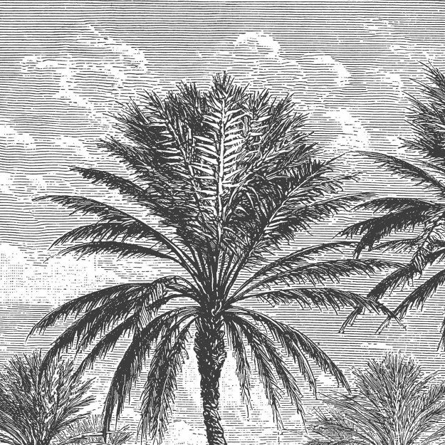 Les Dominotiers Oasis Behang