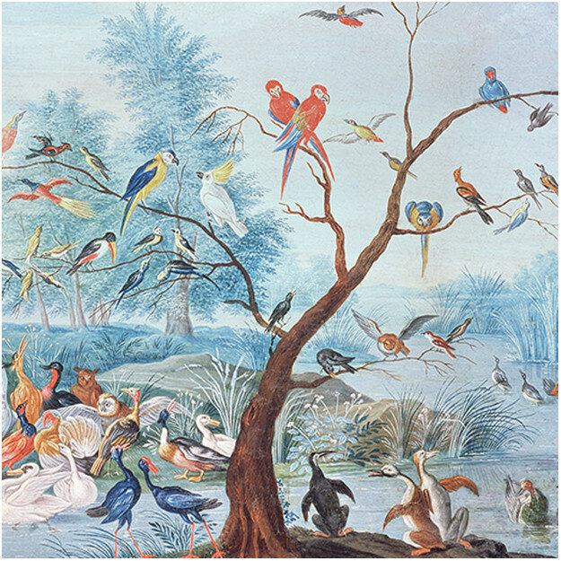 Les Dominotiers Tropical Birds Behang