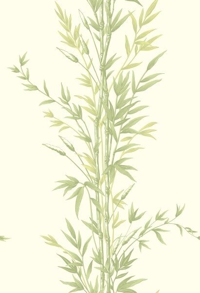 behang cole and son bamboo_100-5023 archive anthology luxury by nature