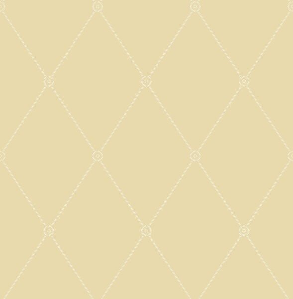 behang cole and son archive anthology large georgian rope trellis straw geel
