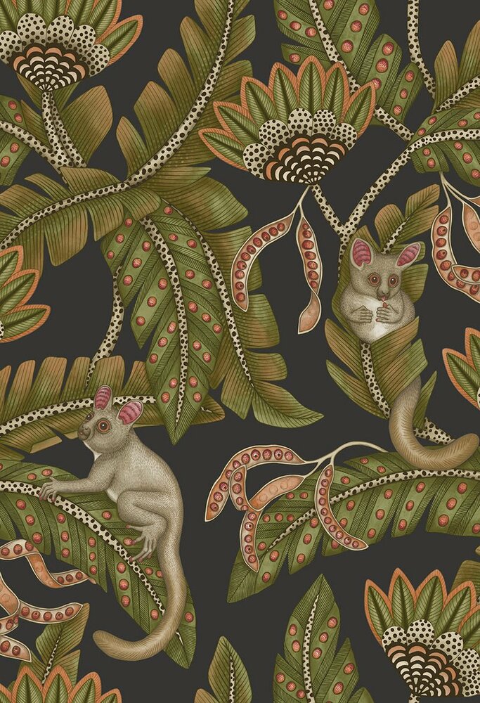 Cole and Son Bush Baby Behang - Black