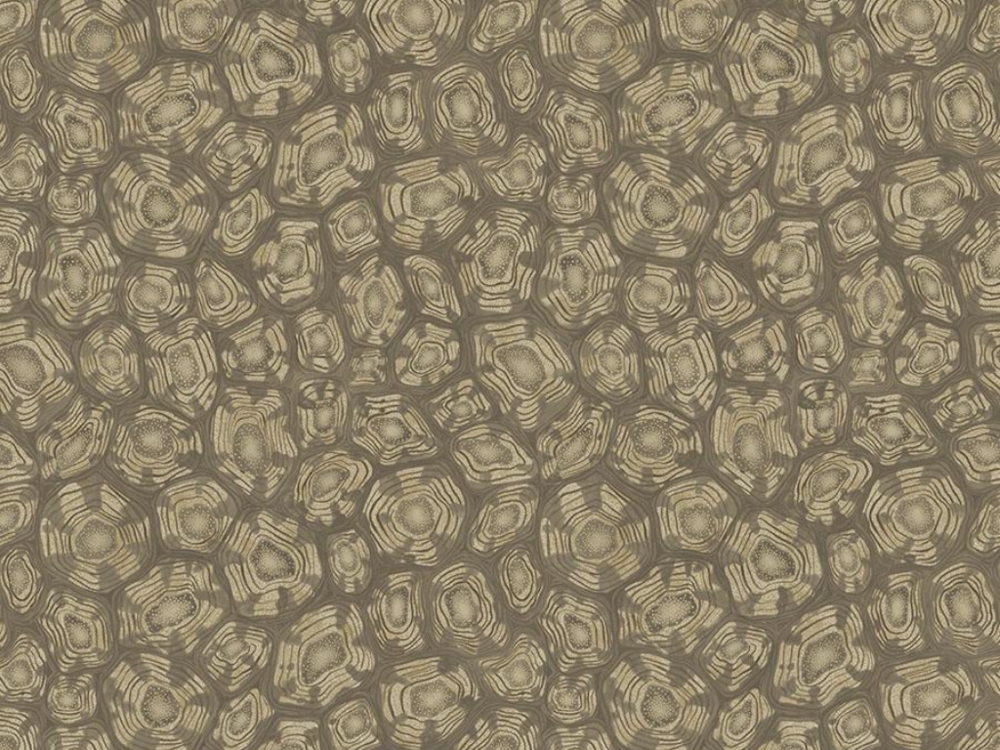 Cole and Son Savanna Shell Behang Cole and Son Ardmore Jabula Behang Collectie S119/4020