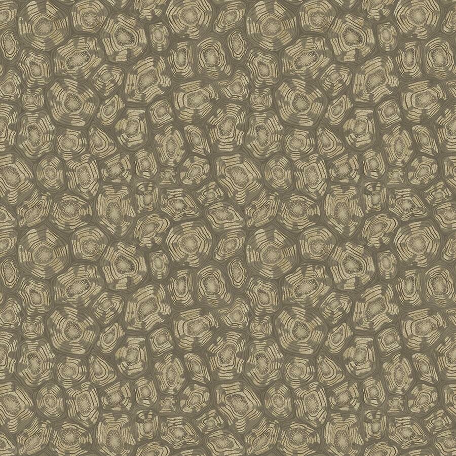 Cole and Son Savanna Shell Behang Cole and Son Ardmore Jabula Behang Collectie S119/4020