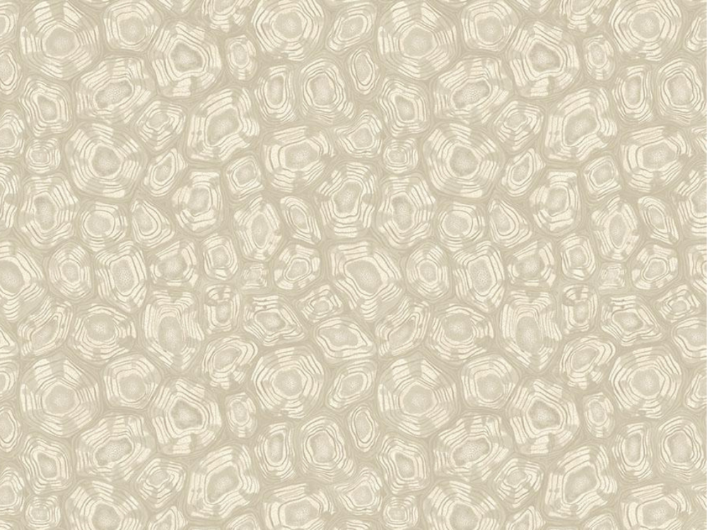 Cole and Son Savanna Shell Behang Cole and Son Ardmore Jabula Behang Collectie S119/4021