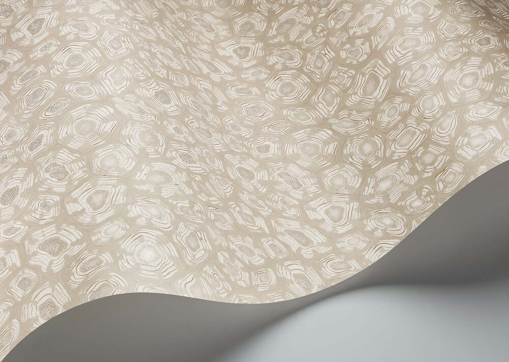 Cole and Son Savanna Shell Behang Cole and Son Ardmore Jabula Behang Collectie S119/4021