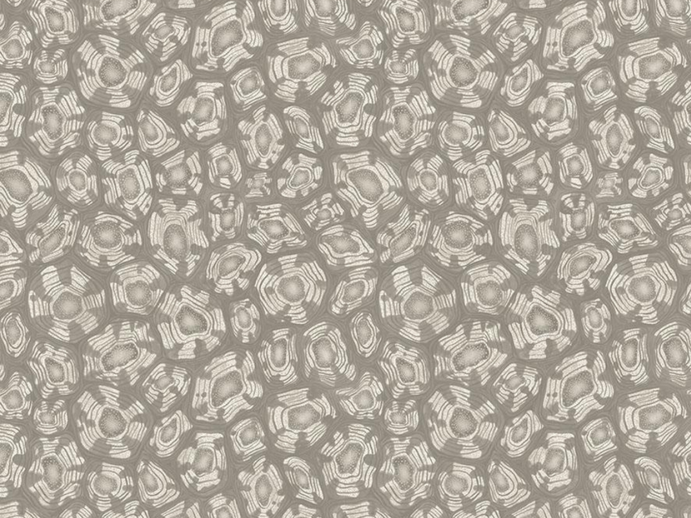 Cole and Son Savanna Shell Behang Cole and Son Ardmore Jabula Behang Collectie S119/4022
