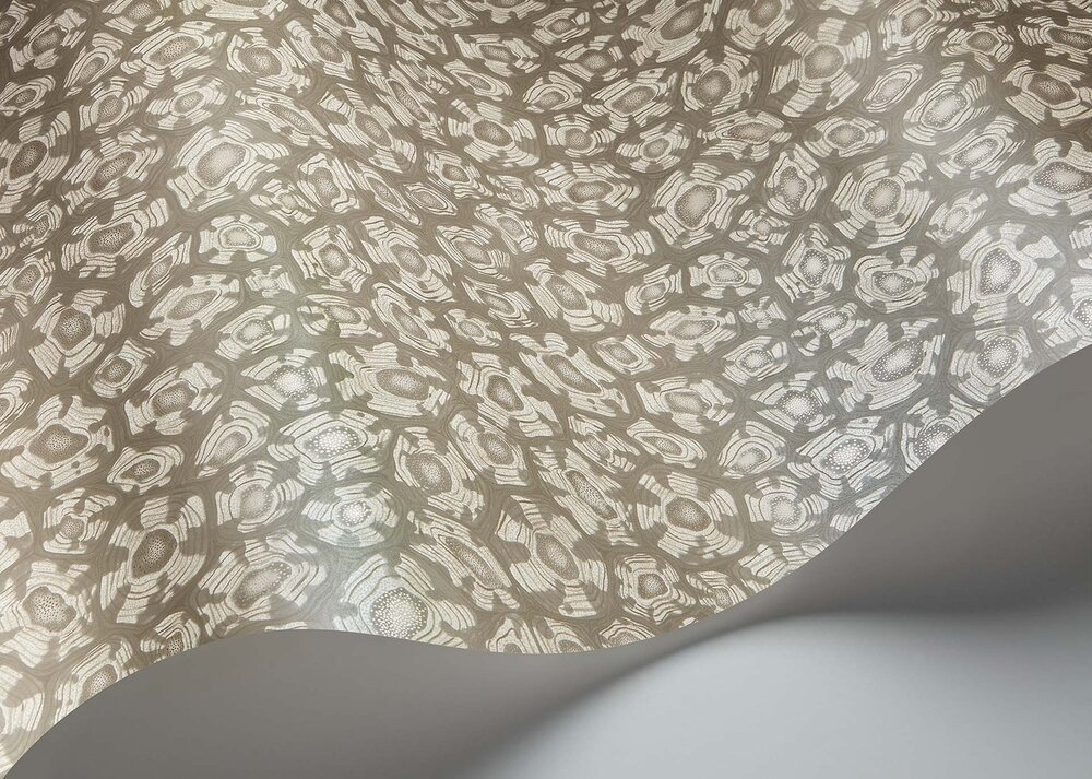 Cole and Son Savanna Shell Behang Cole and Son Ardmore Jabula Behang Collectie S119/4022