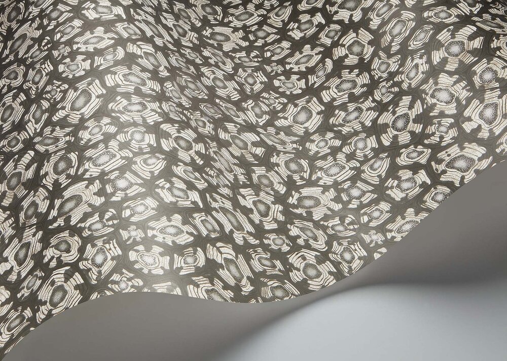 Cole and Son Savanna Shell Behang Cole and Son Ardmore Jabula Behang Collectie S119/4023