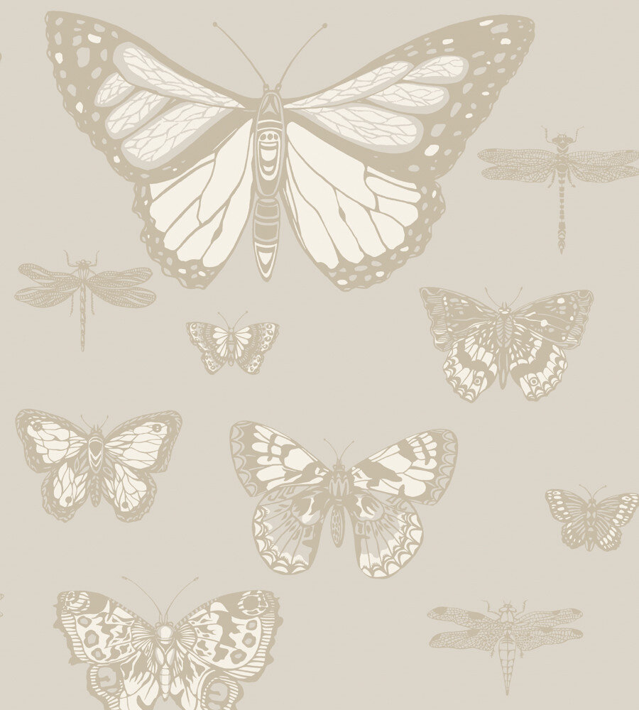 behang cole and son butterflies and dragonflies whimsical 103 15064