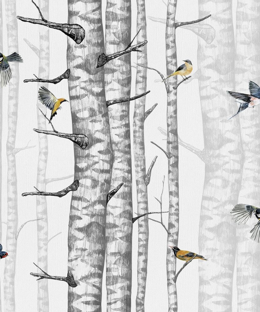 Coordonne Birch Trees Behang 9500040