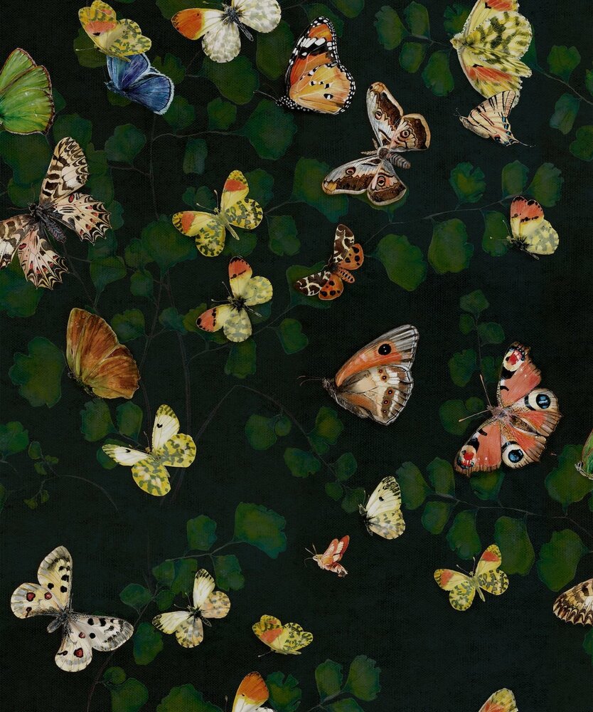 Coordonne Magic Butterflies Behang 9500050