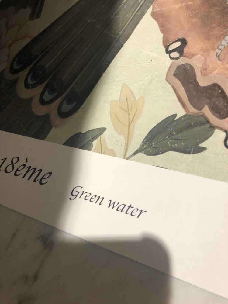 Papiers de paris Edo chinosierie green water