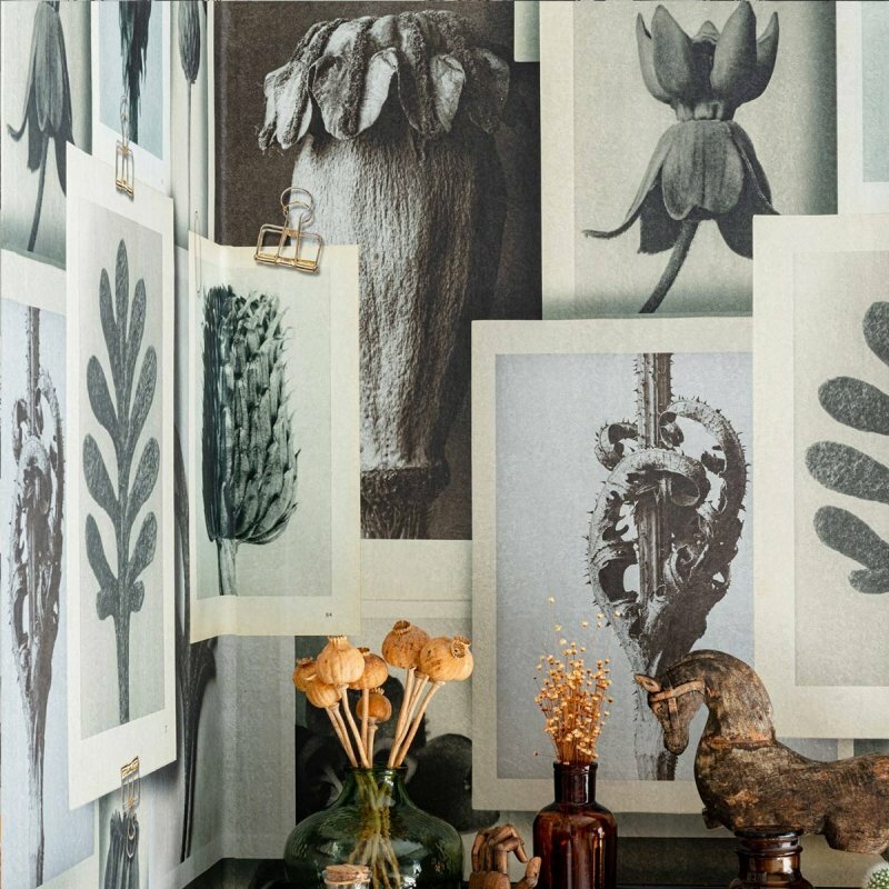 Mind the Gap Blossfeldt&#039;s Art Forms Behang WP20595