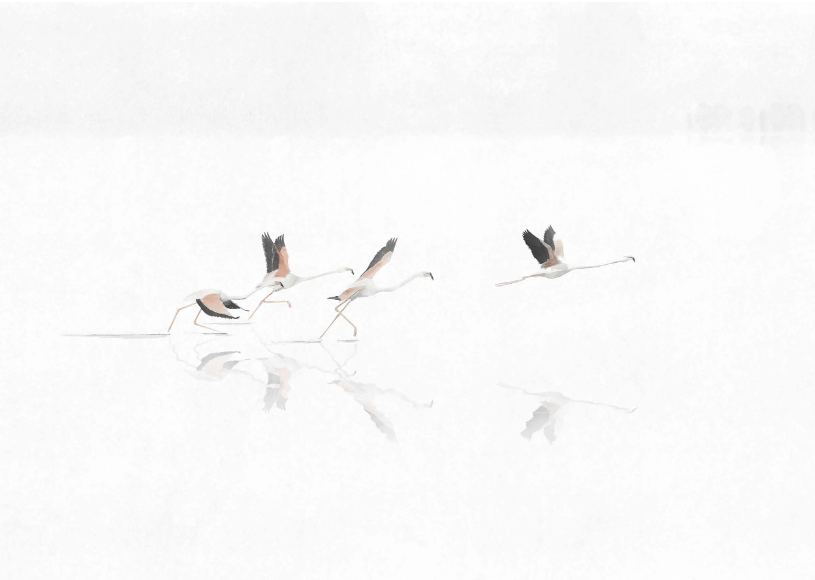 Coordonne Donana Swan Behang - Zijde A00316S