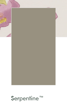 Little greene verf