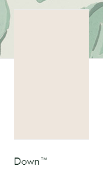 Little Greene Verf