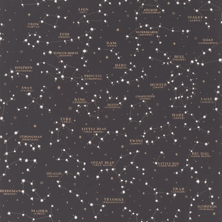 Ralph Lauren Starry Sky Behang Black PRL5041/02