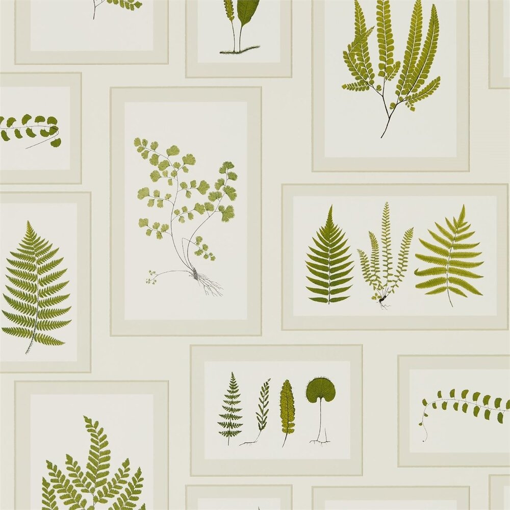 Behang Sanderson Fern Gallery 215712 Woodland Walk Luxury By Nature