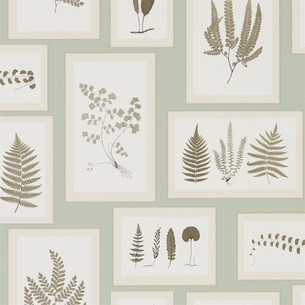 Behang Sanderson Fern Gallery 215715 Woodland Walk Luxury By Nature