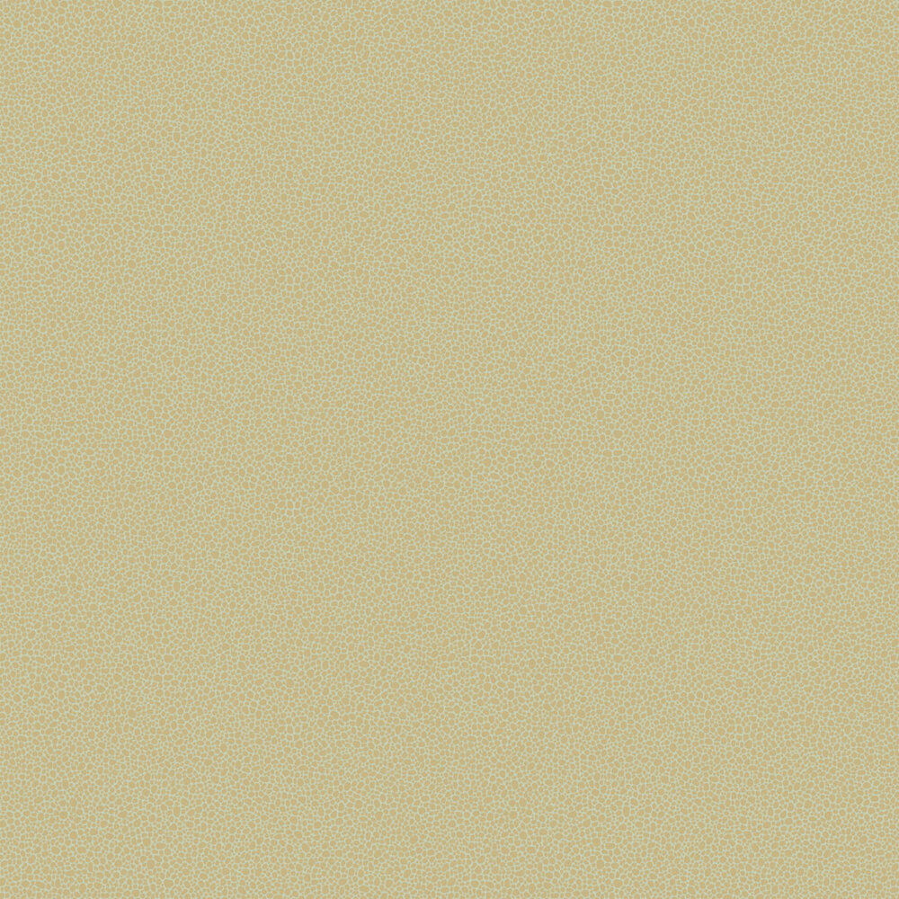 Behang Cole and Son Goldstone 107-9041 Curio Luxury By Nature 2.jpg