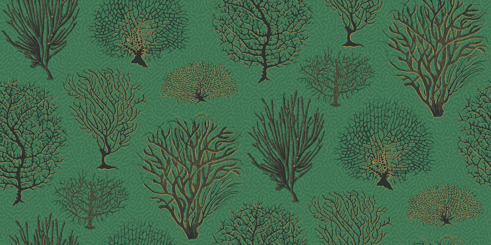 Behang Cole and Son Seafern 107-2007 Curio Luxury By Nature 2