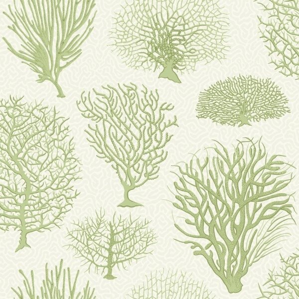 Behang Cole And Son Seafern 107-2008 Curio Collectie Luxury By Nature