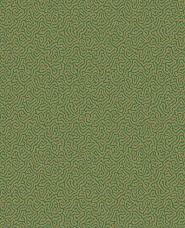 Behang Cole And Son Vermicelli 107-4022 Curio Collectie Luxury By Nature
