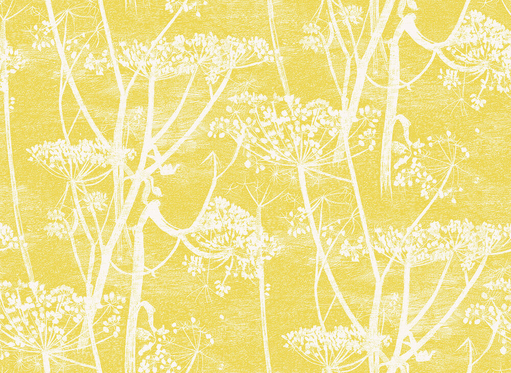 Behang Cole and Son Cow Parsley 66-7051 Contemporary Restyled Luxury By Nature