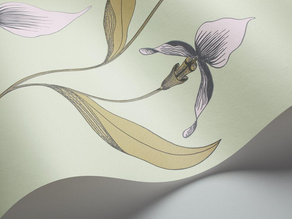 Behang Cole and Son Orchid 66/4028 Wave Contemporary Selection Luxury By Nature