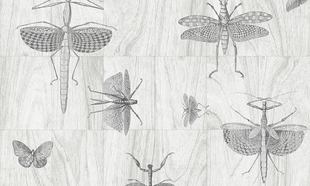 Behang ARTE Wings 42001 - Ligna Behangpapier Collectie Luxury By Nature.jpg