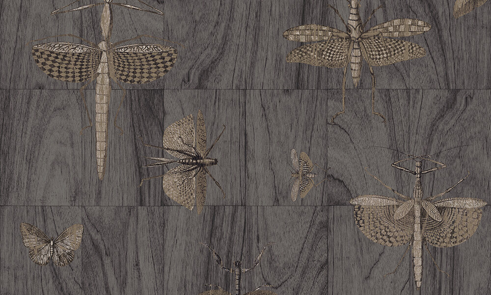 Behang ARTE Wings 42003 - Ligna Behangpapier Collectie Luxury By Nature.jpg