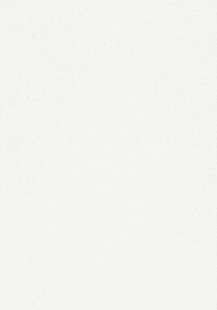 Thibaut behang Surfrider T13112