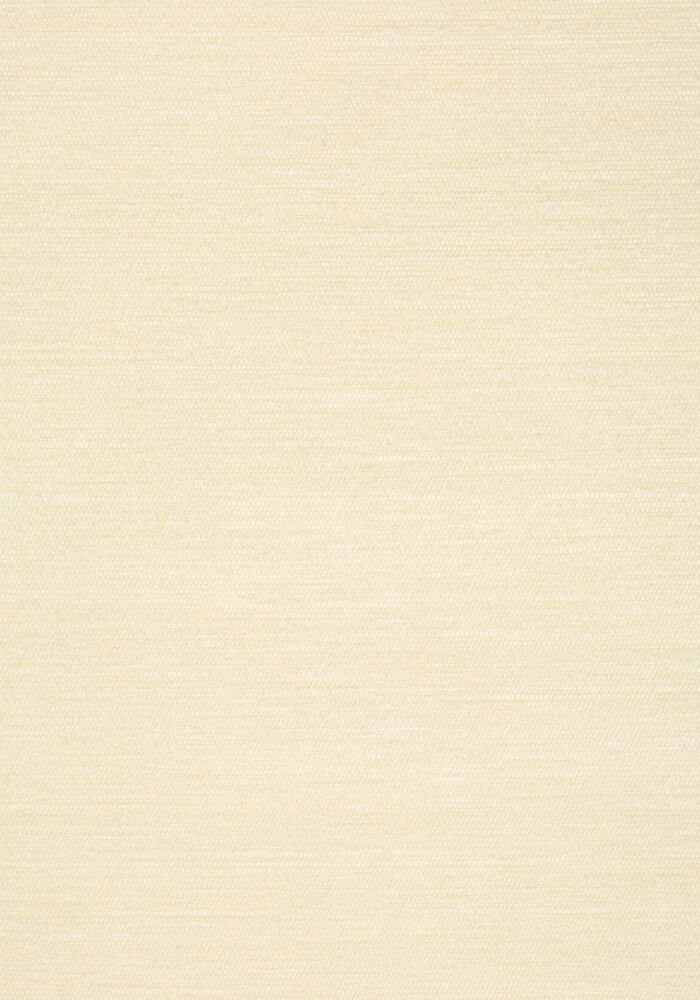 Thibaut behang Surfrider T13111