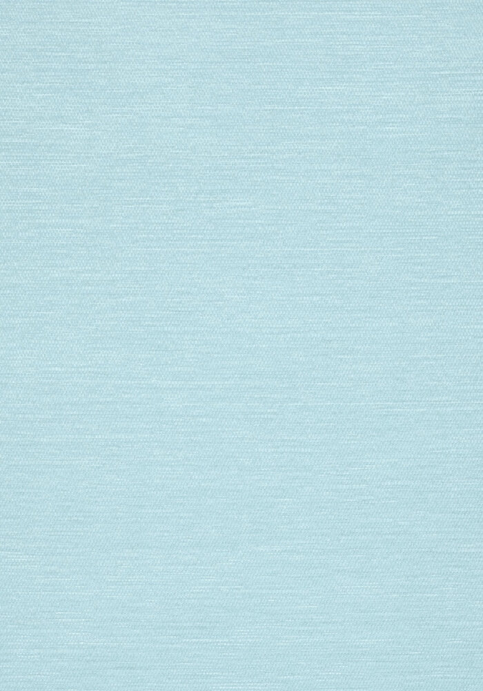 Thibaut behang Surfrider T13110
