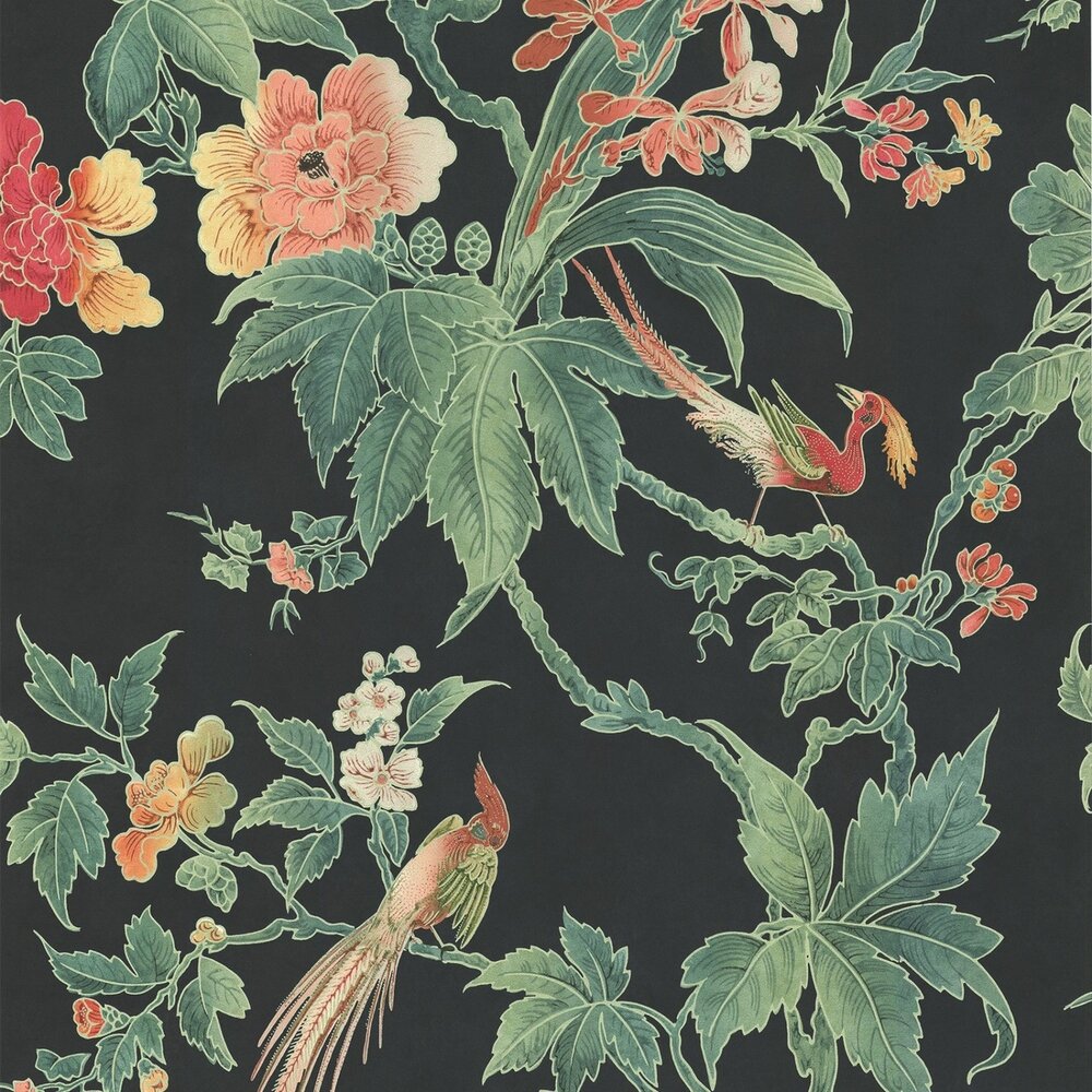 paradise_-_nightshade_1