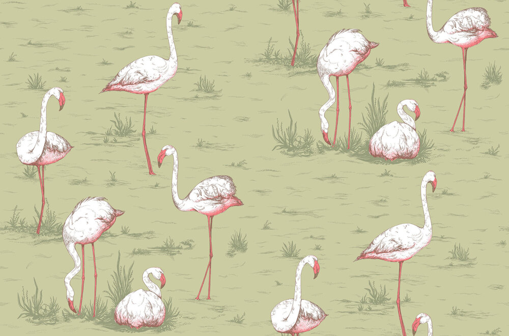 Cole &amp; Son Flamingos behang Icons behangpapier 112/11038