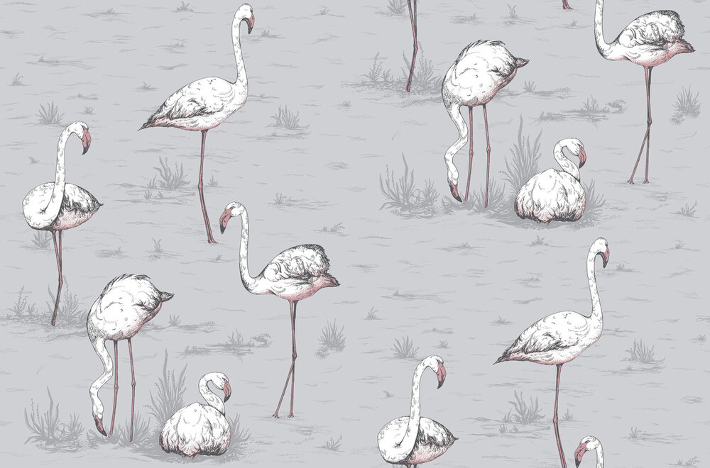 Cole &amp; Son Flamingos behang Icons behangpapier 112/11040