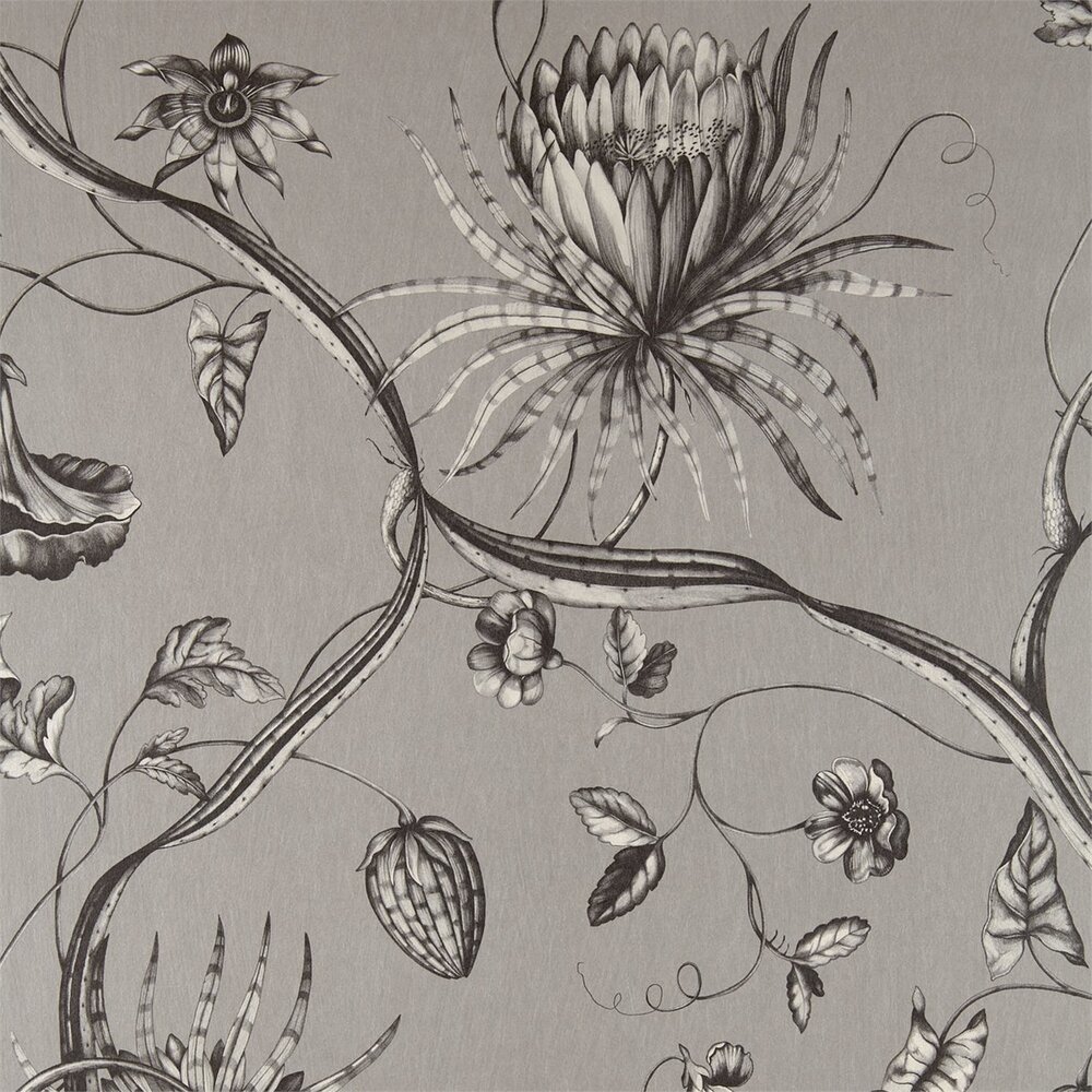 Phaedra Behang Zoffany 312621
